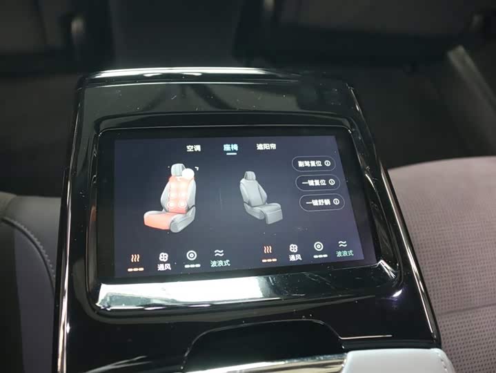 Voyah Passion 2024 2024款 PHEV 四驱超长续航旗舰版