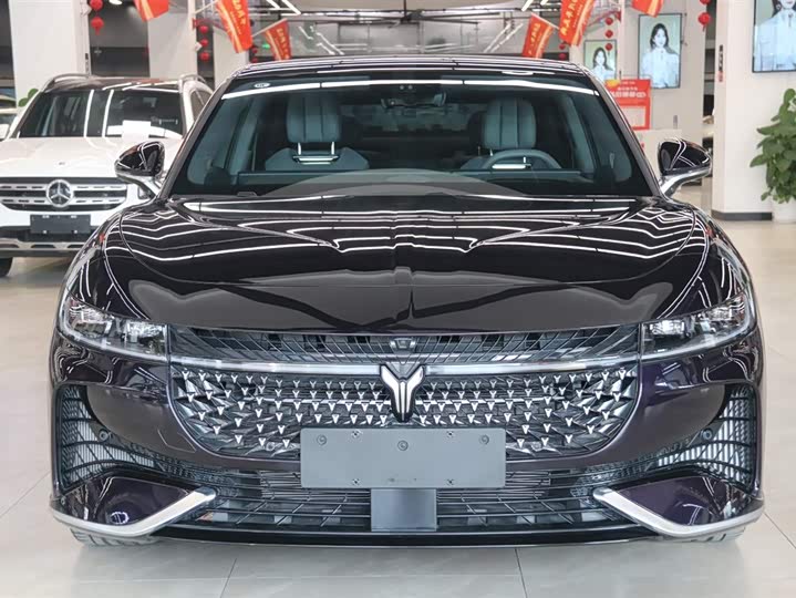 Voyah Passion 2024 2024款 PHEV 四驱超长续航旗舰版