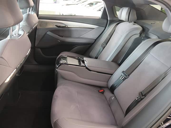 Voyah Passion 2024 2024款 PHEV 四驱超长续航旗舰版