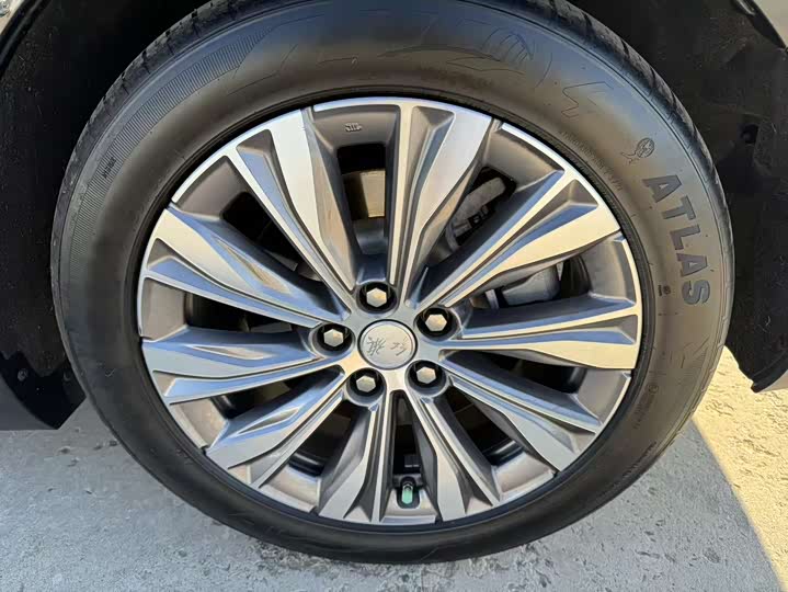 Hongqi E-QM5 2024 2024款 610km PLUS