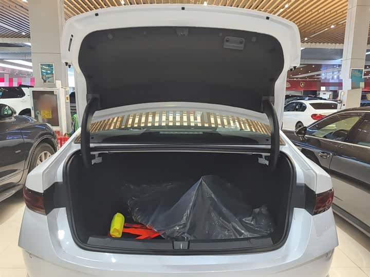 BYD Qin Plus 2025 2025款 DM-i 智驾版 128KM进取型