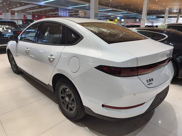 BYD Qin Plus 2025 2025款 DM-i 智驾版 128KM进取型
