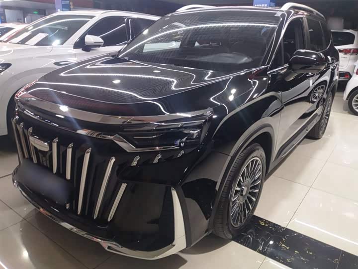 Geely Okavango L 2025 2025款 2.0T DCT尊享款