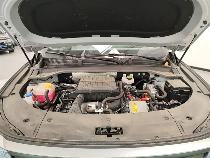 Exeed RX C-DM Hybrid 2024 2024款 1.5T 长续航Pro