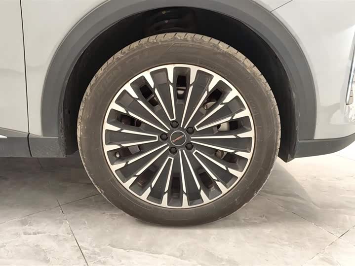 Exeed RX C-DM Hybrid 2024 2024款 1.5T 长续航Pro