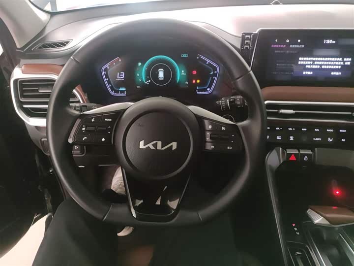 Kia Sportage GT-line 2021 2021款 Ace 2.0L 精彩版