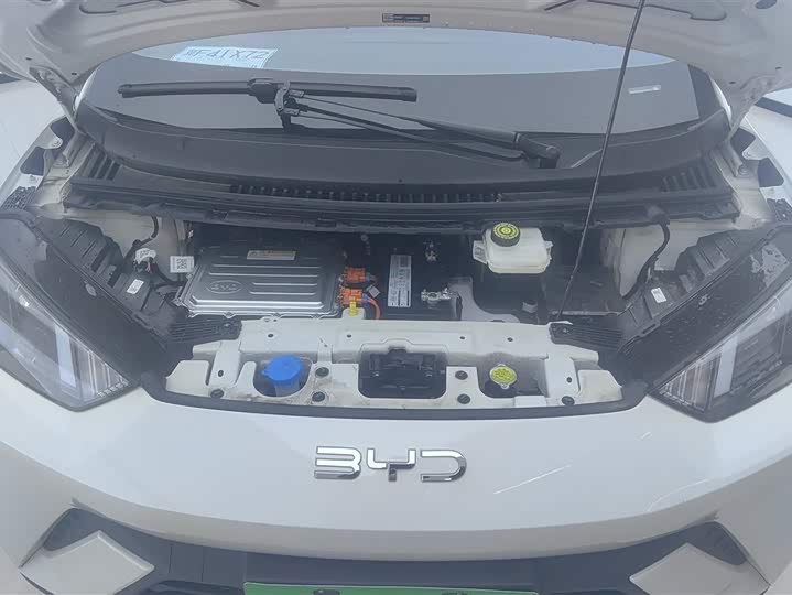 BYD Seagull 2025 2025款 305km 活力版