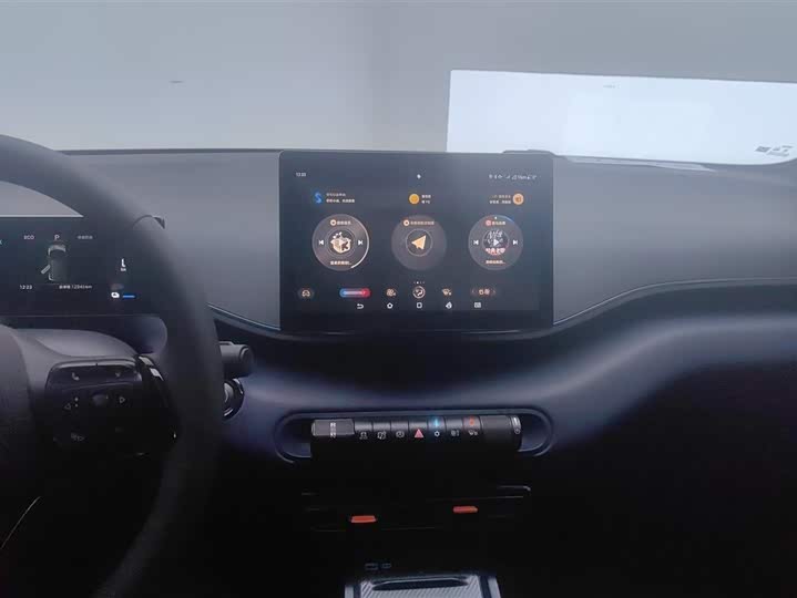 BYD Seagull 2025 2025款 305km 活力版