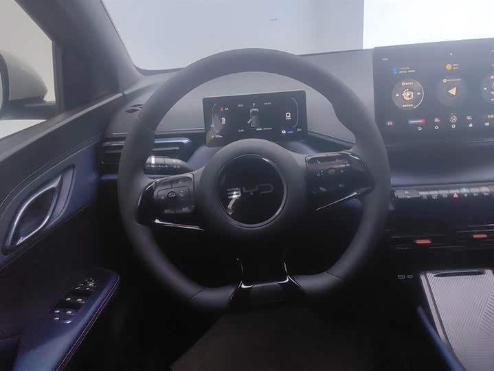 BYD Seagull 2025 2025款 305km 活力版