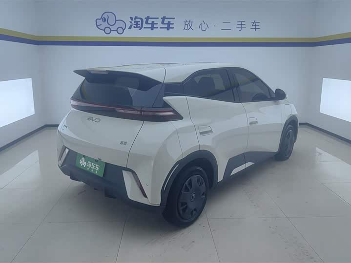 2025 BYD Seagull