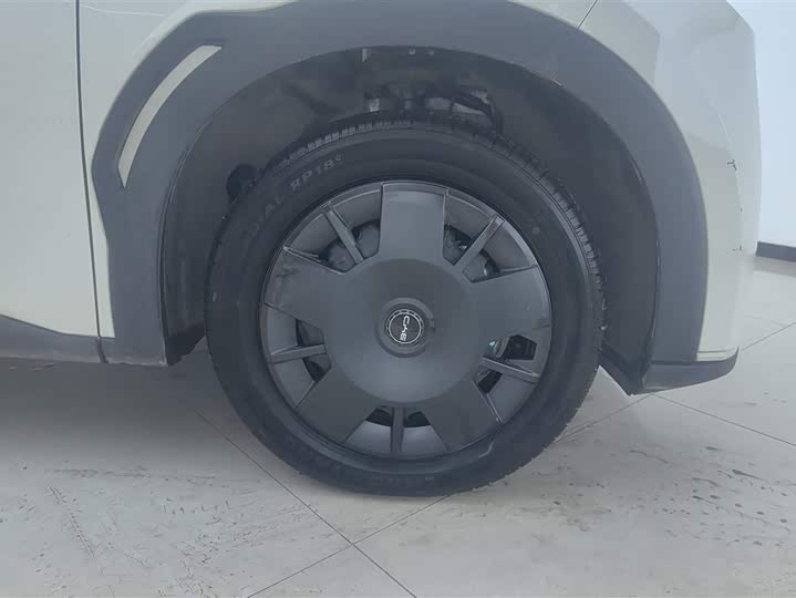 BYD Seagull 2025 2025款 305km 活力版