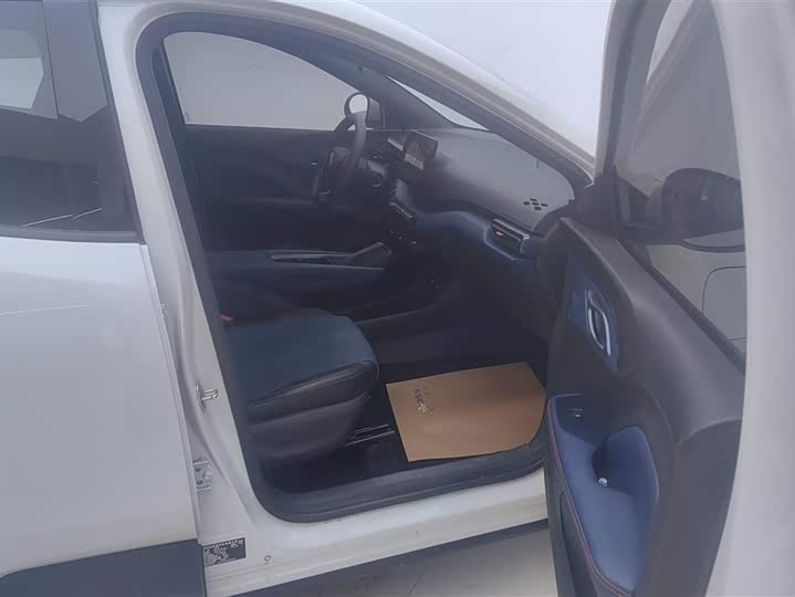 BYD Seagull 2025 2025款 305km 活力版