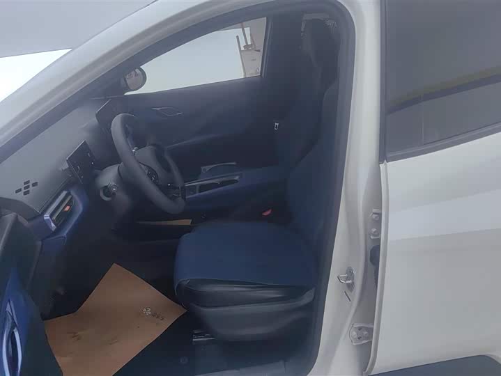 BYD Seagull 2025 2025款 305km 活力版