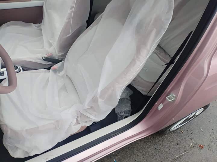 Geely Galaxy Panda Mini 2025 2025款 熊猫mini 210km 元气熊