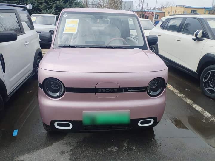 Geely Galaxy Panda Mini 2025 2025款 熊猫mini 210km 元气熊