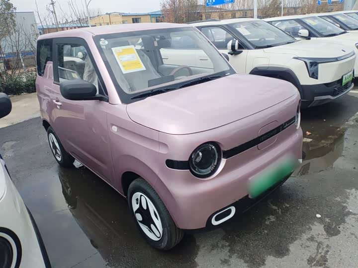 Geely Galaxy Panda Mini 2025 2025款 熊猫mini 210km 元气熊