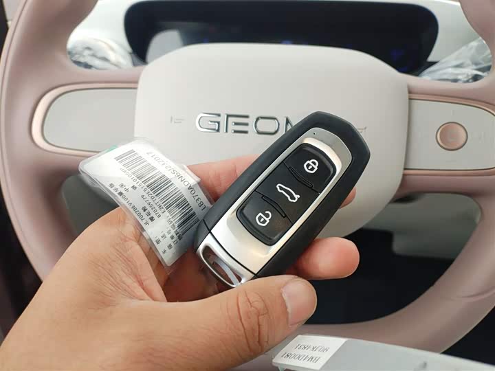 Geely Galaxy Panda Mini 2025 2025款 熊猫mini 210km 元气熊