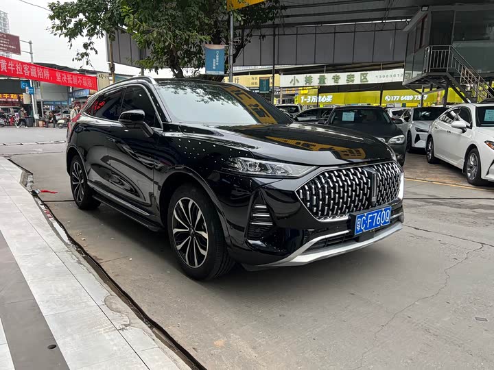 Wey Mocha 2021 2021款 2.0T 两驱特香版