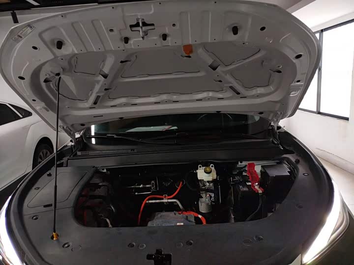 Dongfeng Forthing Leiting 2024 2024款 410+