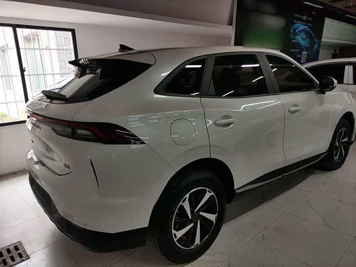 Dongfeng Forthing Leiting 2024 2024款 410+