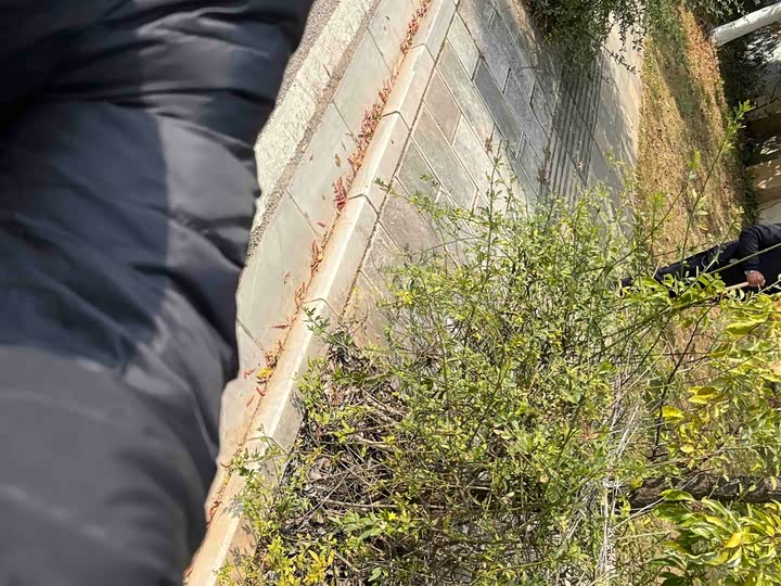 MG Motor 5 2025 2025款 300TGI 全球旗舰版