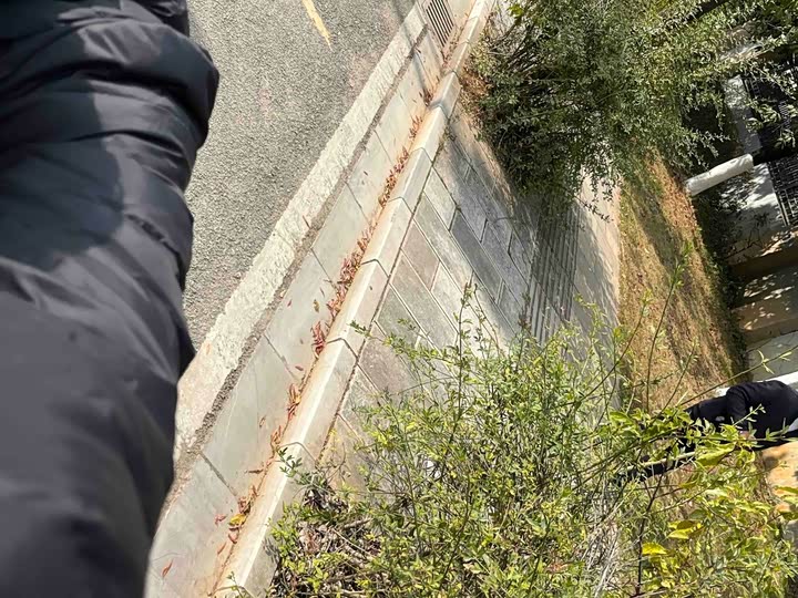 MG Motor 5 2025 2025款 300TGI 全球旗舰版