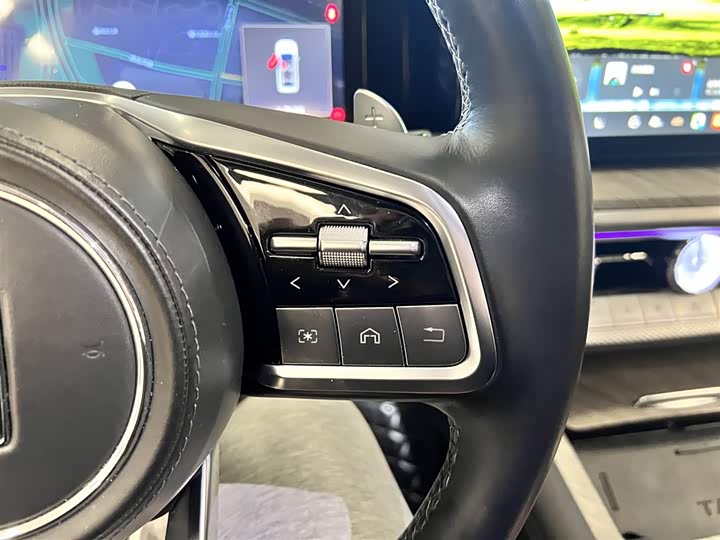 Tank 500 2023 2023款 3.0T 商务版 造境型 5座