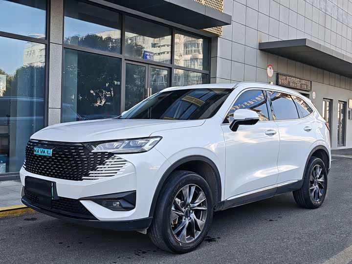 Haval H6 Hybrid 2023 2023款 DHT-PHEV 110KM 悦行版