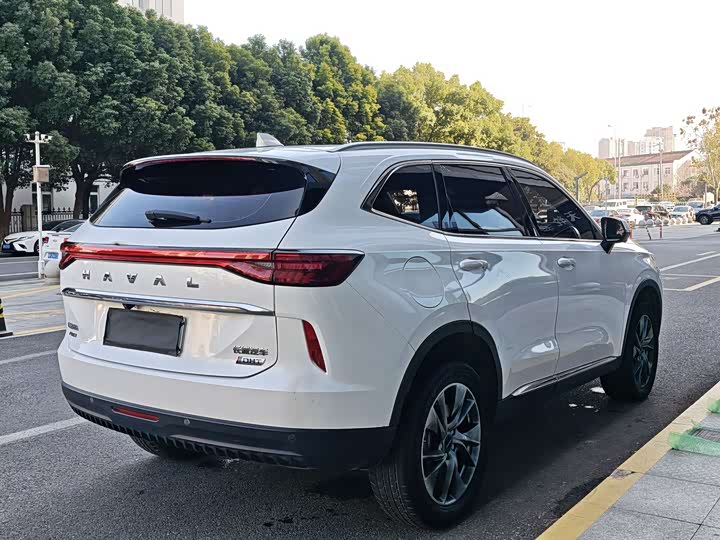 Haval H6 Hybrid 2023 2023款 DHT-PHEV 110KM 悦行版