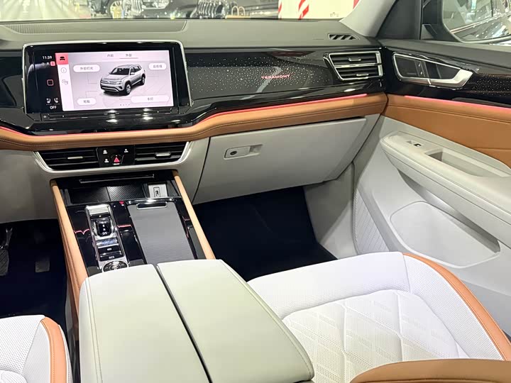 Volkswagen Teramont Pro 2024 2024款 380TSI 四驱尊崇旗舰版
