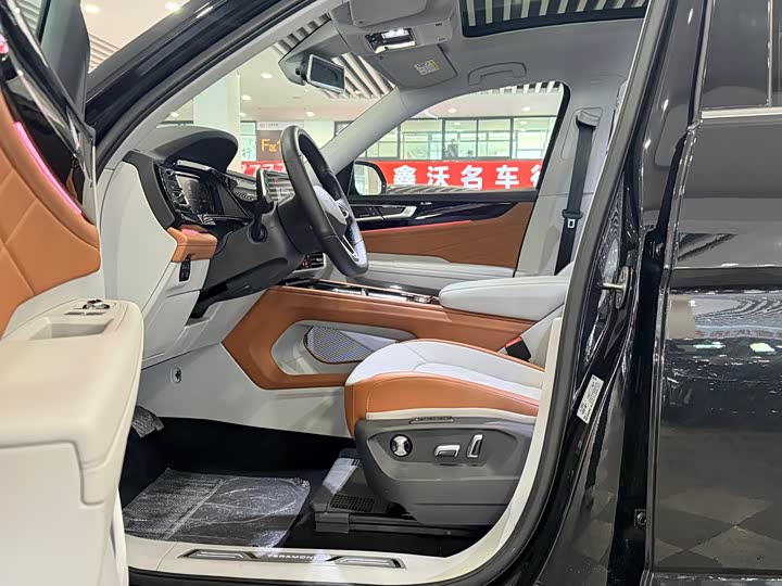 Volkswagen Teramont Pro 2024 2024款 380TSI 四驱尊崇旗舰版