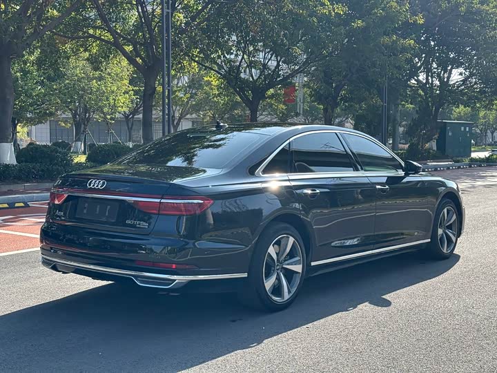 Audi A8 Hybrid 2021 2021款 A8L 60 TFSIe quattro