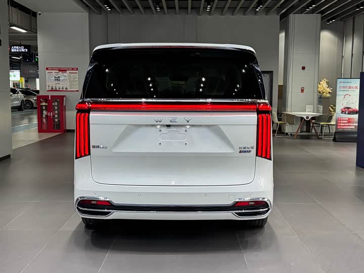 Wey Gaoshan 2023 2023款 四驱旗舰版