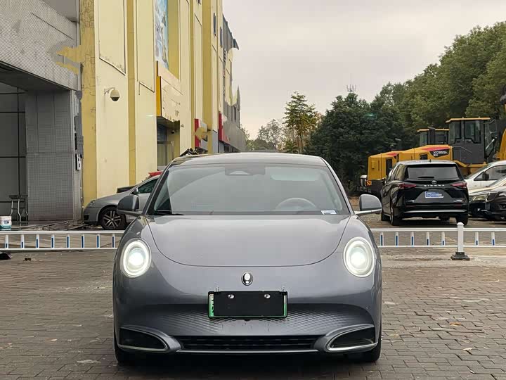 Ora Lightning Cat (07) 2022 2022款 555km 尊贵版