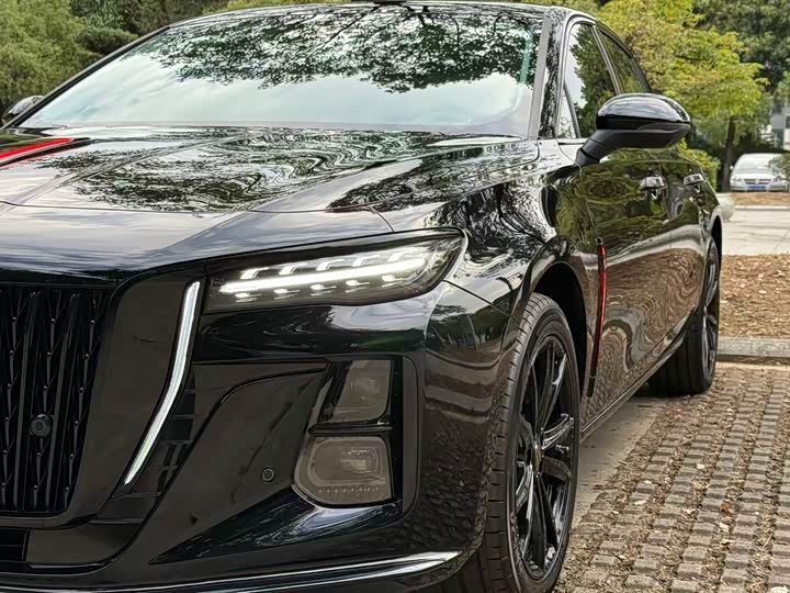 Hongqi H5 2025 2025款 1.5T DCT玄影版