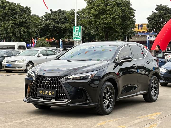 Lexus NX 2023 2023款 260 前驱 创悦版