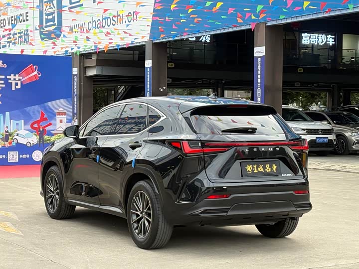 Lexus NX 2023 2023款 260 前驱 创悦版