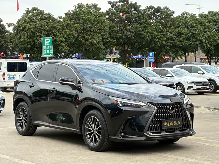 Lexus NX 2023 2023款 260 前驱 创悦版