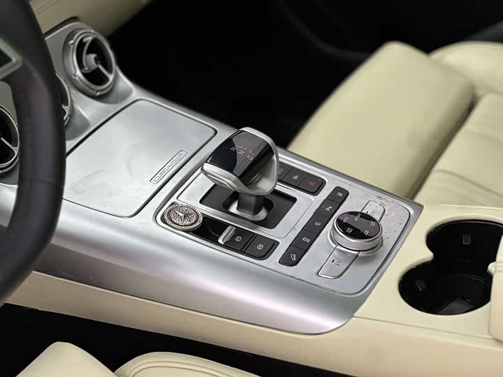 Denza X 2020 2020款 PHEV旗舰版