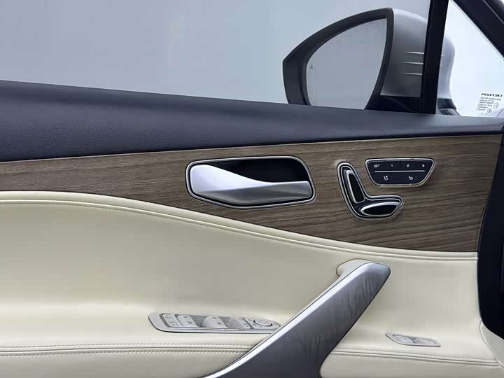 Denza X 2020 2020款 PHEV旗舰版