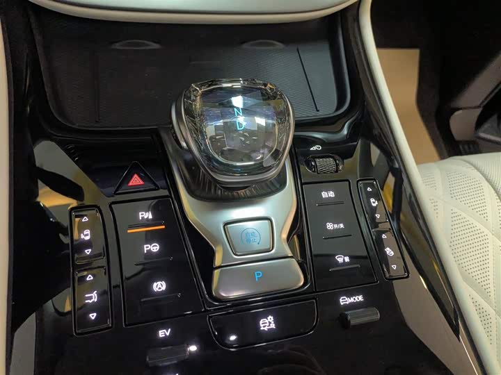 Denza D9 2025 2025款 DM-i 智驾版 1020 四驱尊享型