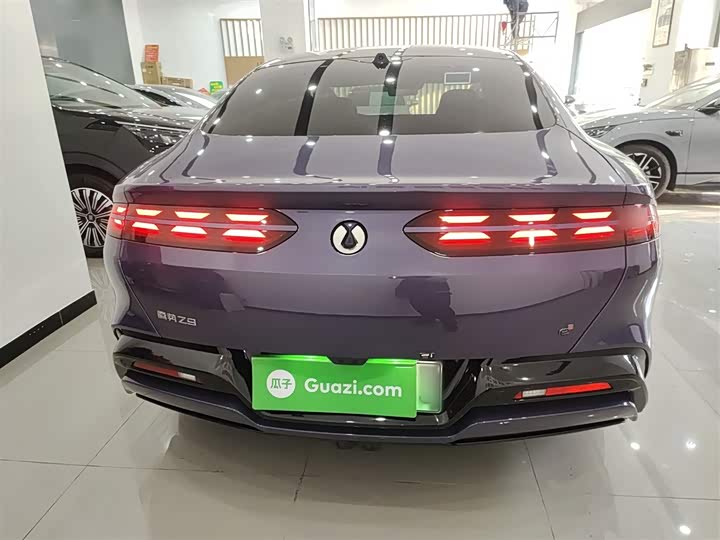 Denza Z9 2024 2024款 1100km 四驱Max版