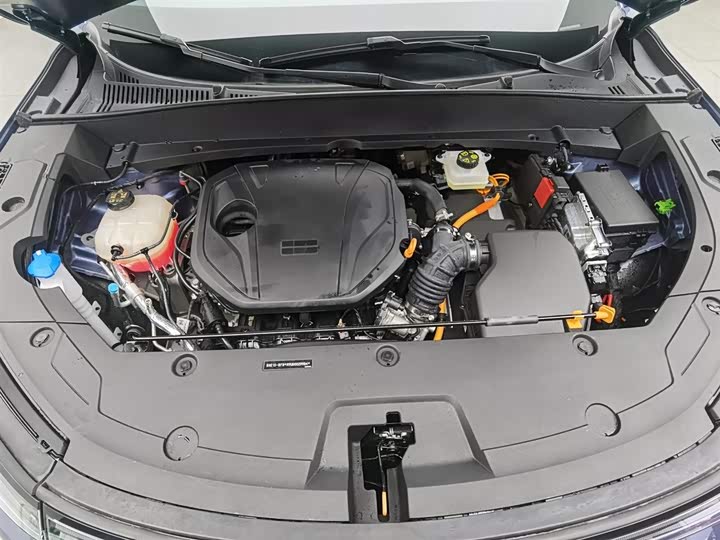 Geely Galaxy Starship 7 2025 2025款 120km 领航版