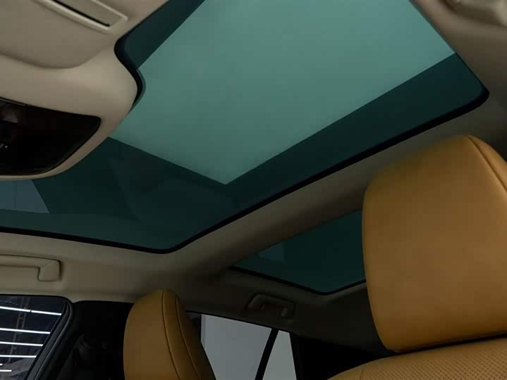 Lexus RZ 2023 2023款 450e 四驱纵享版