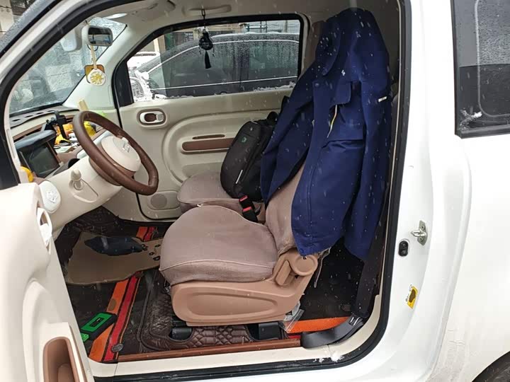 Bestune Pony 2025 2025款 222km 灵动马