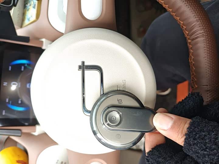 Bestune Pony 2025 2025款 222km 灵动马