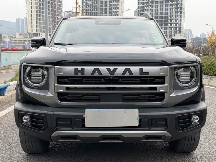 Haval Dargo 2024 2024款 1.5T DCT边牧版