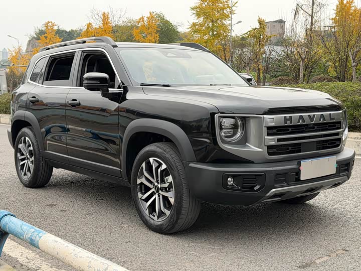 Haval Dargo 2024 2024款 1.5T DCT边牧版