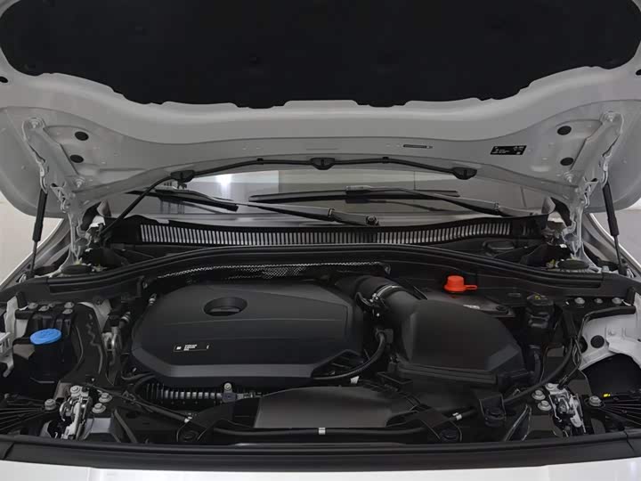 BMW 2 Series 2025 2025款 225L M运动套装