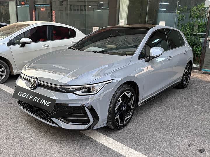 Volkswagen Golf 2025 2025款 300TSI R-Line